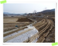 덕신리 마골 농로포장사업 - 마을이야기 -예천군 금당실마을 금당실정보화마을,예천군 금당실정보화마을