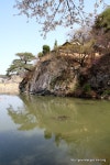 2014년 병암정의 봄풍경 - 마을이야기 -예천군 금당실마을 금당실정보화마을,예천군 금당실정보화마을