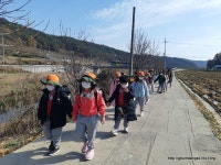 1차 호명면 새벗유치원 사과따기체험^^ - 마을이야기 -예천군 금당실마을 금당실정보화마을,예천군 금당실정보화마을