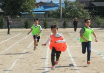 2017년 용문초등학교 가을 운동회 - 마을이야기 -예천군 금당실마을 금당실정보화마을,예천군 금당실정보화마을