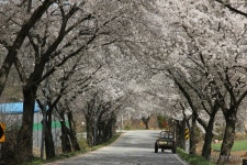 예천군 보건소(원류보건진료소)는 두천리 주민들을 대상으로 예쁜치매센터를 운영합니다. - 마을이야기 -예천군 금당실마을 금당실정보화마을... 