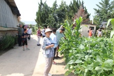 강원도 평창군 미탄면 백운리 흰구름 산촌마을 주민 금당실마을에 선진지견학으로 방문 - 마을이야기 -예천군 금당실마을 금당실정보화마을... 