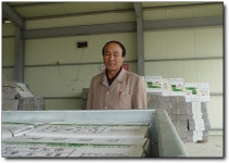 ▒ 용문 풋고추 작목반 첫 출하 ▒ - 마을이야기 -예천군 금당실마을 금당실정보화마을,예천군 금당실정보화마을