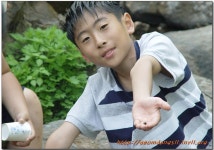 ▒ 금당꿀 뜨기 체험 - 아홉번째 ▒ - 마을이야기 -예천군 금당실마을 금당실정보화마을,예천군 금당실정보화마을