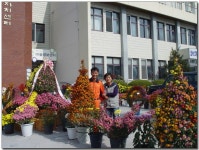 국화향기에 빠진 사람들~ - 마을이야기 -예천군 금당실마을 금당실정보화마을,예천군 금당실정보화마을