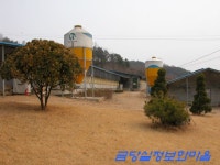 선동나들이 - 마을이야기 -예천군 금당실마을 금당실정보화마을,예천군 금당실정보화마을