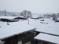 덕신리에도 눈이 100㎜이상 소복 소복 - 마을이야기 -예천군 금당실마을 금당실정보화마을,예천군 금당실정보화마을