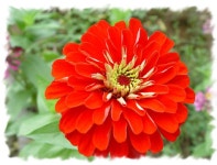 고향길-용문사 가는 길 - 마을이야기 -예천군 금당실마을 금당실정보화마을,예천군 금당실정보화마을