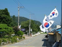 영덕뉴스 달산면, 휘날리는 태극기 거리로 나라사랑 홍보