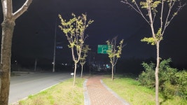 군민여론광장 괴시마을 부근 가로등