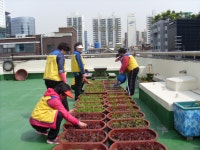 상세보기 - 포토갤러리 < 우리동소식 < 당산1동 < 동주민센터 < 영등포구청 영등포구청