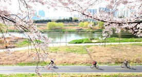 안양천 물길 - 문화관광