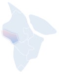 영등포구청>분야별정보>재난/안전>빗물펌프장 현황>펌프장 소개