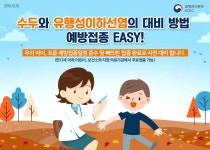 공지사항 - 영등포구 보건소