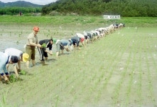 여주시 사진 DB 여주시청