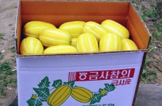 여주시 사진 DB 여주시청