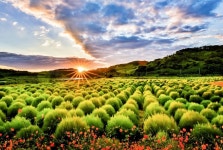 한탄강 관광지 목록 - 문화관광 한탄강 관광지