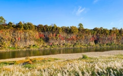 휴양림 목록 - 문화관광 휴양림