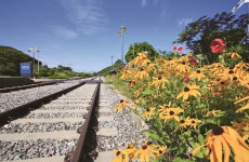 일반숙박 목록 - 문화관광 일반숙박