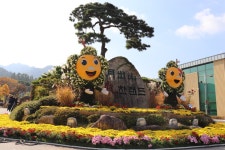 NAVER検索結果の写真 1