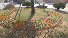 - 원본 보기 팝업창