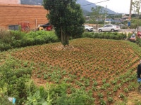 보도/해명자료 < 영암소식 < 열린군정 < 영암군 영암군청