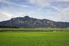 보도/해명자료 < 영암소식 < 열린군정 < 영암군 영암군청