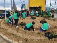 보도/해명자료 < 영암소식 < 열린군정 < 영암군 영암군청