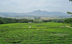 덕진면 선암·송내외마을 유기농 생태마을 신규 지정 이미지 1의 확대이미지 - 원본 보기 팝업창