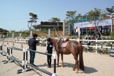 승마장 갤러리>영광승마장>안전생활>영광군청 [기승능력인증제] 5월 28일 기승능력 인증제 6등급 시행