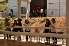 승마장 갤러리>영광승마장>안전생활>영광군청 2015년 신나는 주말생활체육학교(2)