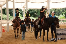승마장 갤러리>영광승마장>안전생활>영광군청 2015년 신나는 주말생활체육학교(1)