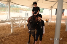승마장 갤러리>영광승마장>안전생활>영광군청 성지송학중학교