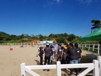 승마장 갤러리>영광승마장>안전생활>영광군청 [기승능력인증제] 2018년 9월 8일 KHIS 기승능력인증제 5등급 시행