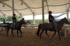 승마장 갤러리>영광승마장>안전생활>영광군청 [재활/힐링승마] 2019년 5월 힐링승마(군인)