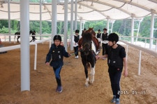 승마장 갤러리>영광승마장>안전생활>영광군청 성지송학중학교