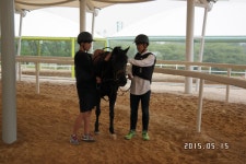 승마장 갤러리>영광승마장>안전생활>영광군청 성지송학중학교