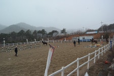 승마장 갤러리>영광승마장>안전생활>영광군청 [유소년승마단] 12월 16일 제1회 영광자체 승마대회 