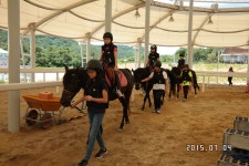 승마장 갤러리>영광승마장>안전생활>영광군청 2015년 신나는 주말생활체육학교(1)