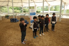 승마장 갤러리>영광승마장>안전생활>영광군청 [승마교육] 2019년 5월 2일 포니3등급