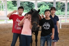 승마장 갤러리>영광승마장>안전생활>영광군청 염산중학교