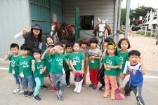 승마장 갤러리>영광승마장>안전생활>영광군청 [승마교육] 6월 1일 홍농유치원 승마체험