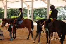 승마장 갤러리>영광승마장>안전생활>영광군청 2015년 신나는 주말생활체육학교(2)