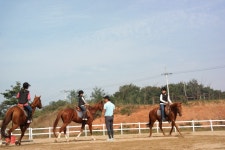 승마장 갤러리>영광승마장>안전생활>영광군청 [승마교육] 20161015 토요스포츠데이 3기 레슨