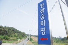 승마장 갤러리>영광승마장>안전생활>영광군청 영광승마장