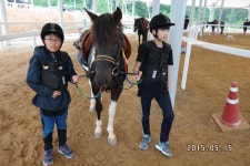 승마장 갤러리>영광승마장>안전생활>영광군청 성지송학중학교