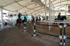 승마장 갤러리>영광승마장>안전생활>영광군청 [승마교육] 2018년 9월 전국민승마체험