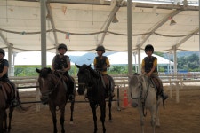 승마장 갤러리>영광승마장>안전생활>영광군청 [승마교육] 2018년 7월 18일 백수서초 승마수업