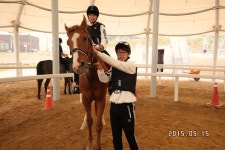 승마장 갤러리>영광승마장>안전생활>영광군청 성지송학중학교