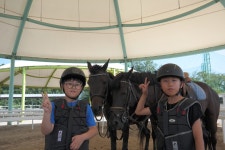 승마장 갤러리>영광승마장>안전생활>영광군청 [승마교육] 2018년 7월 홍농서초등학교 승마수업